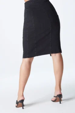 Black Aqua Yoke Seamed Skirt