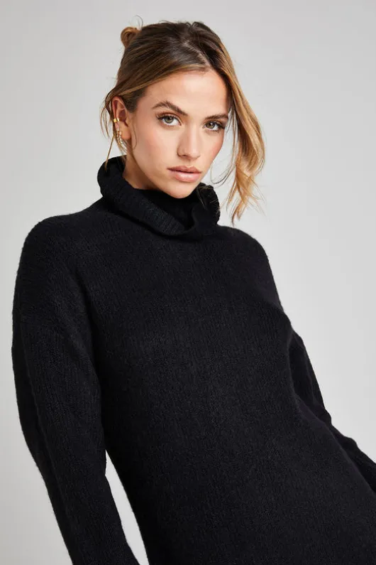 Black Roll Neck Dress