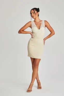 Camille Mesh Detail Corset Dress