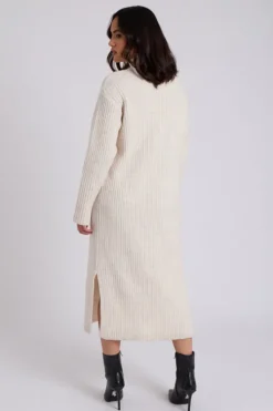 Stand Neck Dress Ribbed