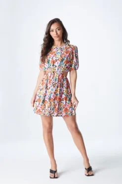Willow Floral Cut Out Mini Dress